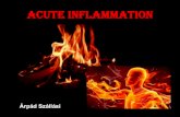 Acute inflammation ... Sepsis puerperalis (childbed fever) Ign£Œc Semmelweis (1818-1865) Semmelweis