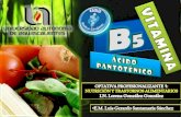 Vitamina B5 (cido Pantot©nico) T³picos Bsicos en Nutrici³n M©dica