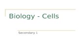 Biology - Cells