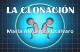 La Clonaci³n y ejemplo