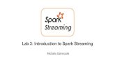 Lab 3: Introduction to Spark Streaming hy562/labs20/Lab6-Spark... Outline Big Stream Analysis Streaming