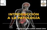 Introduccion a la patologia (Jesus Borges)
