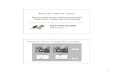 Binocular Stereo Vision - Wellesley College cs332/ppt/stereoRegHum.pdfآ  Stereo information at multiple