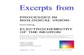 PROCESSES IN BIOLOGICAL VISION: ELECTROCHEMISTRY OF Elektronike/Organic...آ  2014. 5. 12.آ  PROCESSES