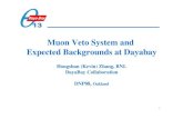 Muon Veto System and Expected Backgrounds at ... 2010/05/31 آ  DayaBay Experiment The goal of the DayaBay