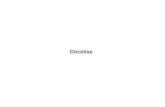 Glicólise. Metabolismo da glicose C 6 H 12 O 6 + 6 O 2 6 CO 2 + 6 H 2 O ΔG’ o = -2.870 kJ/mol  Glicólise primeira via do catabolismo da glicose; via