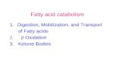 Fatty acid catabolism 1.Digestion, Mobilization, and Transport of Fatty acids ï€²ï€®ï€ ï€ ï€ ï¢ Oxidation 3. Ketone Bodies