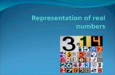 Representation of Real Numbers