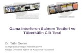 Gama Interferon Sal±n±m Testleri ve T¼berk¼lin Cilt Testi