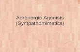 Adrenergic Agonists (Sympathomimetics). Characteristics of Adrenergic Agonists Most of adrenergic agonists are ²-phenylethylamine derivatives. Substitution