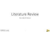 Literature review 16.05.21