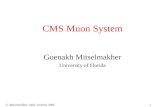 G. Mitselmakher, Split, October 20061 CMS Muon System Guenakh Mitselmakher University of Florida