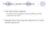 The Beta-Lactam Antibiotics
