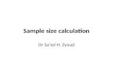 Sample size calculation Dr Saâ€™ed H. Zyoud. Testing hypothesis (Outcomes) Decision Errors Two types of errors can result from a hypothesis test. Type I