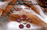 Negative Index Material