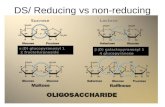 DS/ Reducing vs non-reducing ± ( D) glucopyranosyl 1 2 fructofuranoside ² ( D) galactopyranosyl 1 4 glucopyranose SucroseLactose