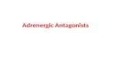 Adrenergic Antagonists