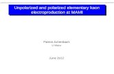 Unpolarized  and polarized elementary  kaon electroproduction  at MAMI