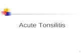 Acute and chronic tonsilitis