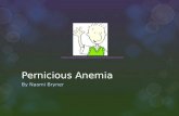 Pernicious Anemia
