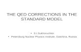 THE QED CORRECTIONS IN THE STANDARD MODEL