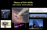 Theory of TeV AGNs