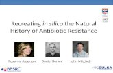 Recreating  in silico  the Natural History of Antibiotic Resistance