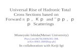 Universal Rise of Hadronic Total Cross Sections based on Forward € ï½, ï¼«ï½ and ï½ï½, ï½ï½ Scatterings Muneyuki Ishida(Meisei University) Phys.Lett.B670(2009)395-398