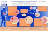 WA28772-Identity Properties Mesenchymal Stem ... The identity and properties of mesenchymal stem cells