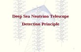 1 Deep Sea Neutrino Telescope Detection Principle