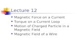 Lecture 12 Magnetic Force on a Current Torque on a Current Loop Motion of Charged Particle in a Magnetic Field Magnetic Field of a Wire