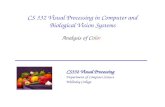 CS 332 Visual Processing in Computer and Biological Vision Systems