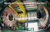 Study of Gamma+Jets production