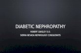 Diabetic nephropathy is a clinical syndrome