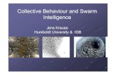 Collective Behaviour and Swarm Intelligence Swarm Intelligence ? "September 2008 ¢â‚¬â€œ MyFC members voted