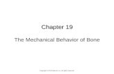 Chapter 19 Chapter 19 The Mechanical Behavior of Bone Copyright © 2013 Elsevier Inc. All rights reserved