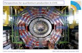 Perspectives for quarkonium production in CMS