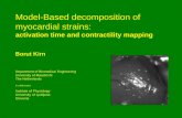 Model-Based decomposition of myocardial strains: activation time and contractility mapping