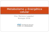 Tema 8 y 9 energetica celular metabolismo 2016