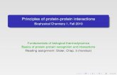 Principles of protein-protein interactions 2010-09-21¢  Principles of protein-protein interactions Biophysical