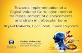 Towards implementation of a Digital Volume Correlation method for measurement of displacements and strain in trabecular bone Bryant Roberts, Egon Perilli,