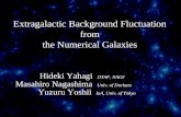 Extragalactic Background Fluctuation from the Numerical Galaxies