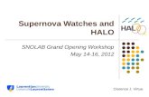 Supernova Watches and HALO