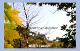 Ecosystem investigation Group 3 Biotic Factors
