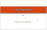 antibodies ppt