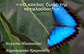 Eugenia iliopoulou meteggrafh_charalampia_kokosiouli_1049286