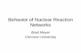 Behavior of Nuclear Reaction  · PDF fileBehavior of Nuclear Reaction Networks Brad Meyer Clemson University. ... and d network p n d p ...  . Y
