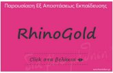 εξ αποστάσεως  εκπαίδευση Rhino gold