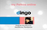 Dingo Marketing team keynote for My Pefkos