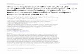The biological activities of (1,3)-(1,6)--d-glucan and ... · PDF fileThe biological activities of (1,3)-(1,6)-β-D-glucan and porous electrospun PLGA membranes containing ... 2 mini-